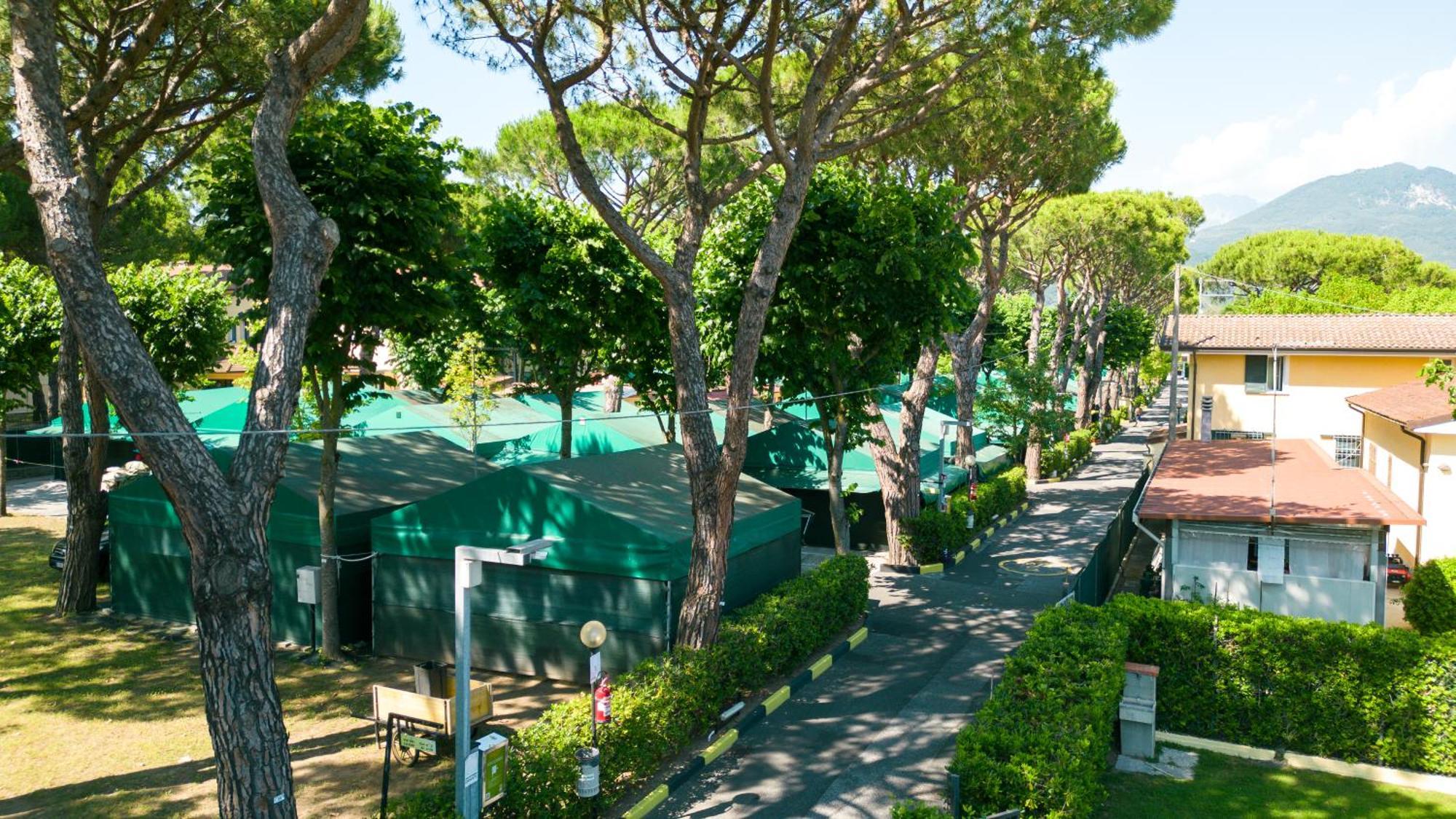 Camping Apuano มารีนา ดิ มาซซา ภายนอก รูปภาพ